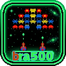 bra500